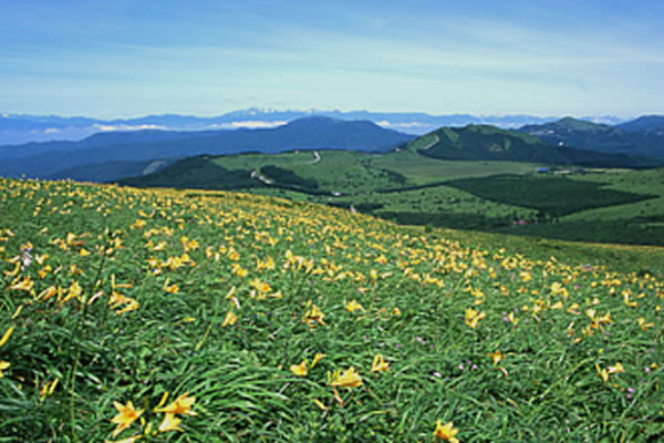 霧ヶ峰